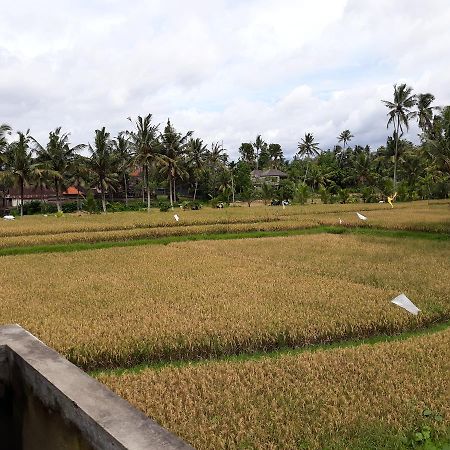 Umah Dangin Guest House Ubud Exterior foto