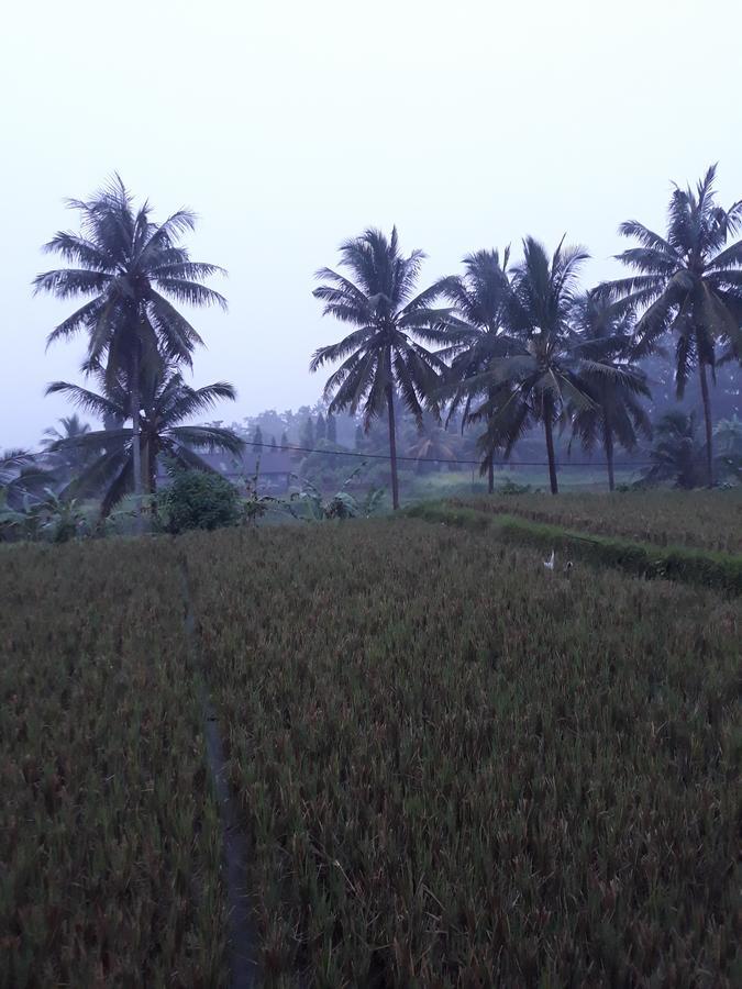 Umah Dangin Guest House Ubud Exterior foto